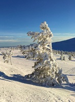 Ylls Finland